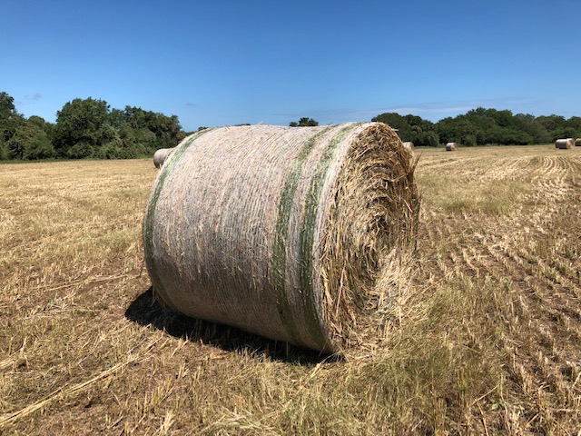 Net Wrap Davy Ranch Supply