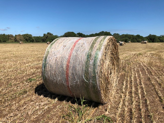 Net Wrap with Orange Warning Stripe Davy Ranch Supply