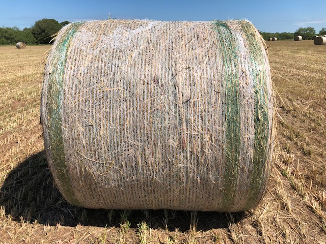 Net Wrap Davy Ranch Supply